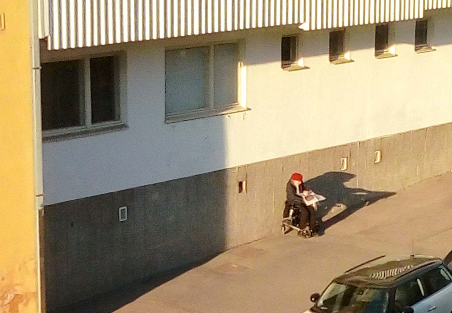 Kasveja, kukkia, penkkejä