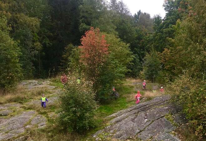 Kumpulan kallio - lähiluonnon ja kaupunginosakulttuurin merkkipaalu
