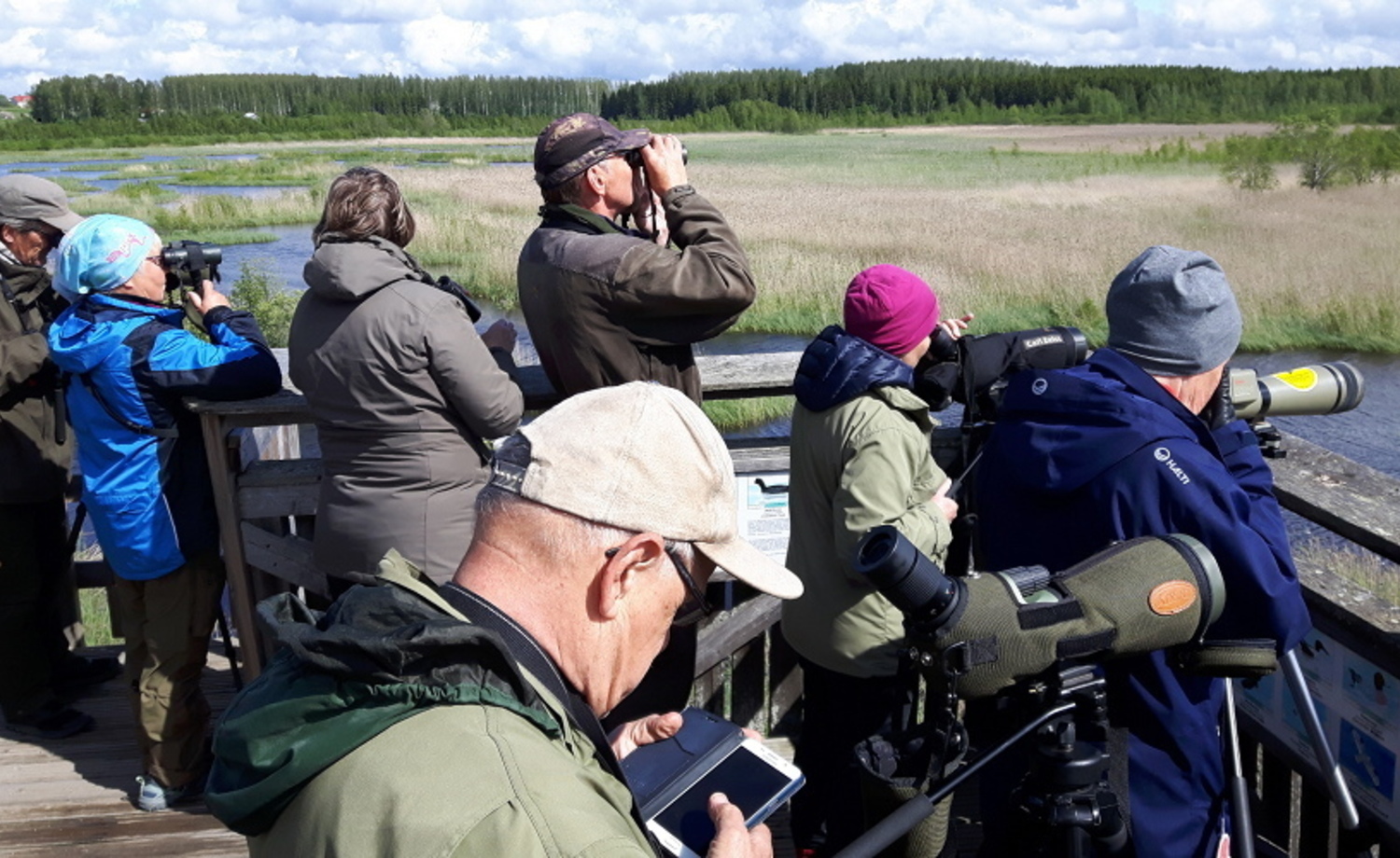 Retkeläisiä lintutornissa 