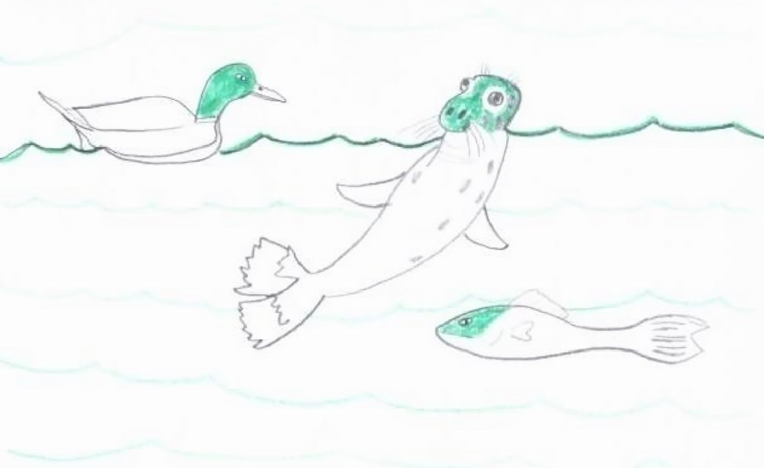 Pidetään Itämerestä ja sen asukeista huolta