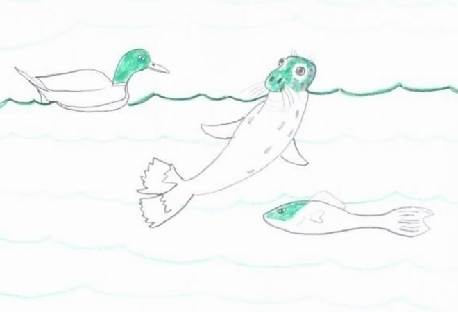 Meriroskat pois - Itämeri puhtaammaksi