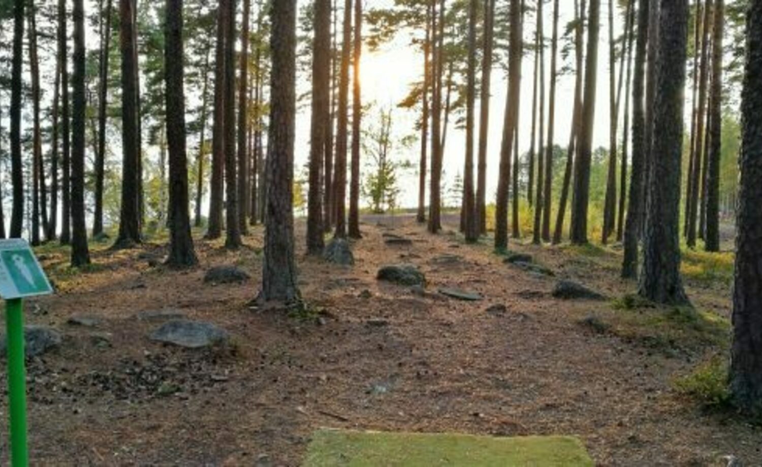 Esimerkki miltä frisbeegolf väylä näyttäisi metsässä