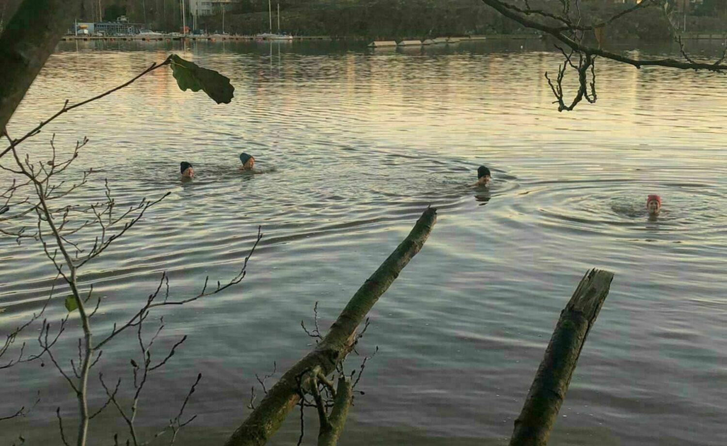 Uimalaituri Kulosaareen