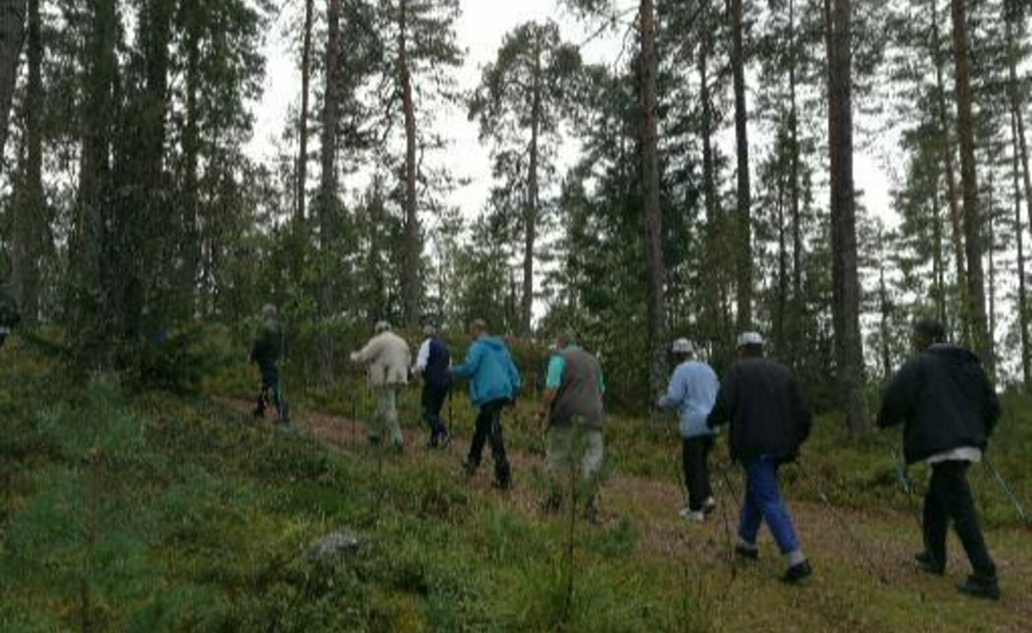 Sauvakävelyä metsässä