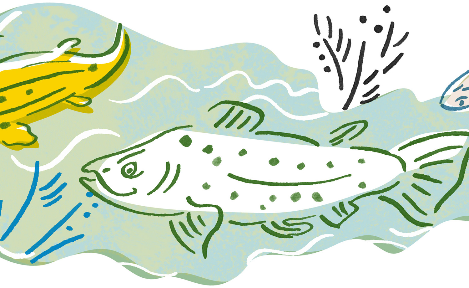 Plan image: Improvement of Mätäoja green and recreational areas