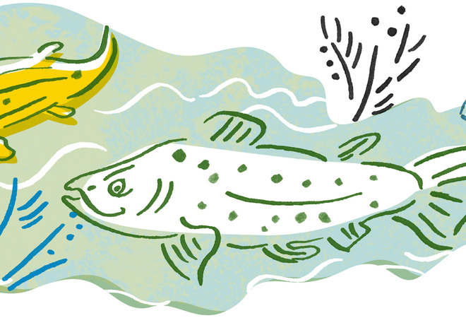 Plan image: Improvement of Mätäoja green and recreational areas