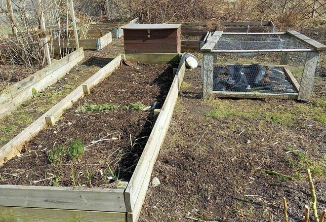 Planter boxes (viljelylaatikot) in Lauttasaari (Lahnalahden puisto)