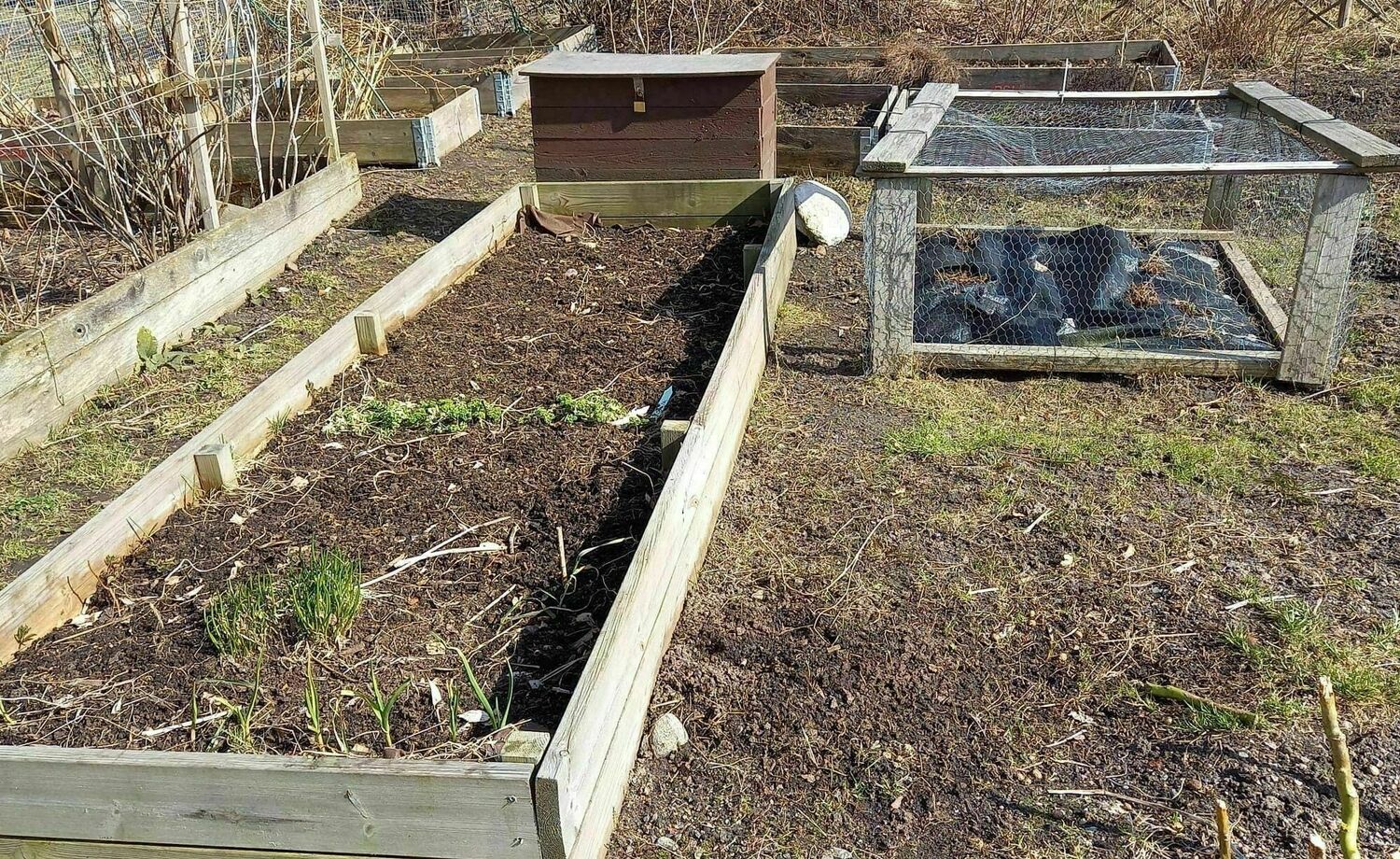 Planter boxes (viljelylaatikot) in Lauttasaari (Lahnalahden puisto)
