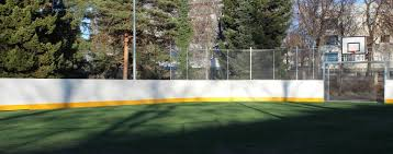 Valpurinpuiston kehittäminen