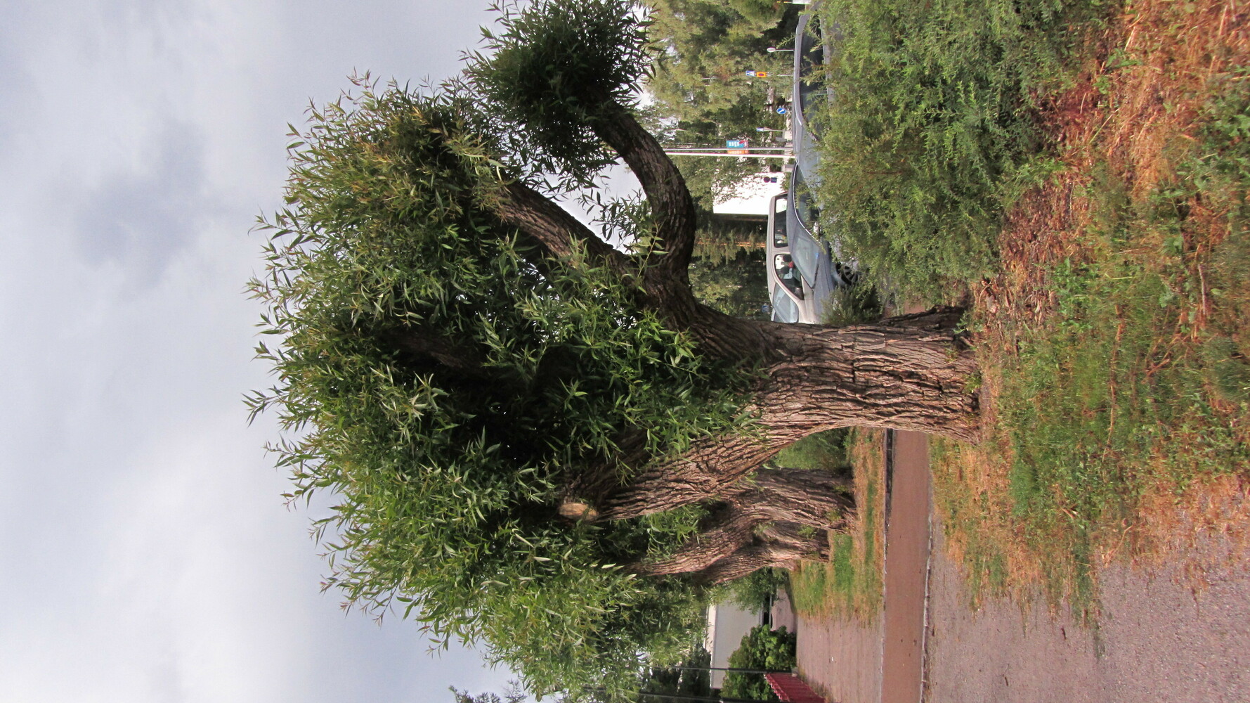 Kaamosvalot Pohjois-Vuosaaren ostoskeskukselle