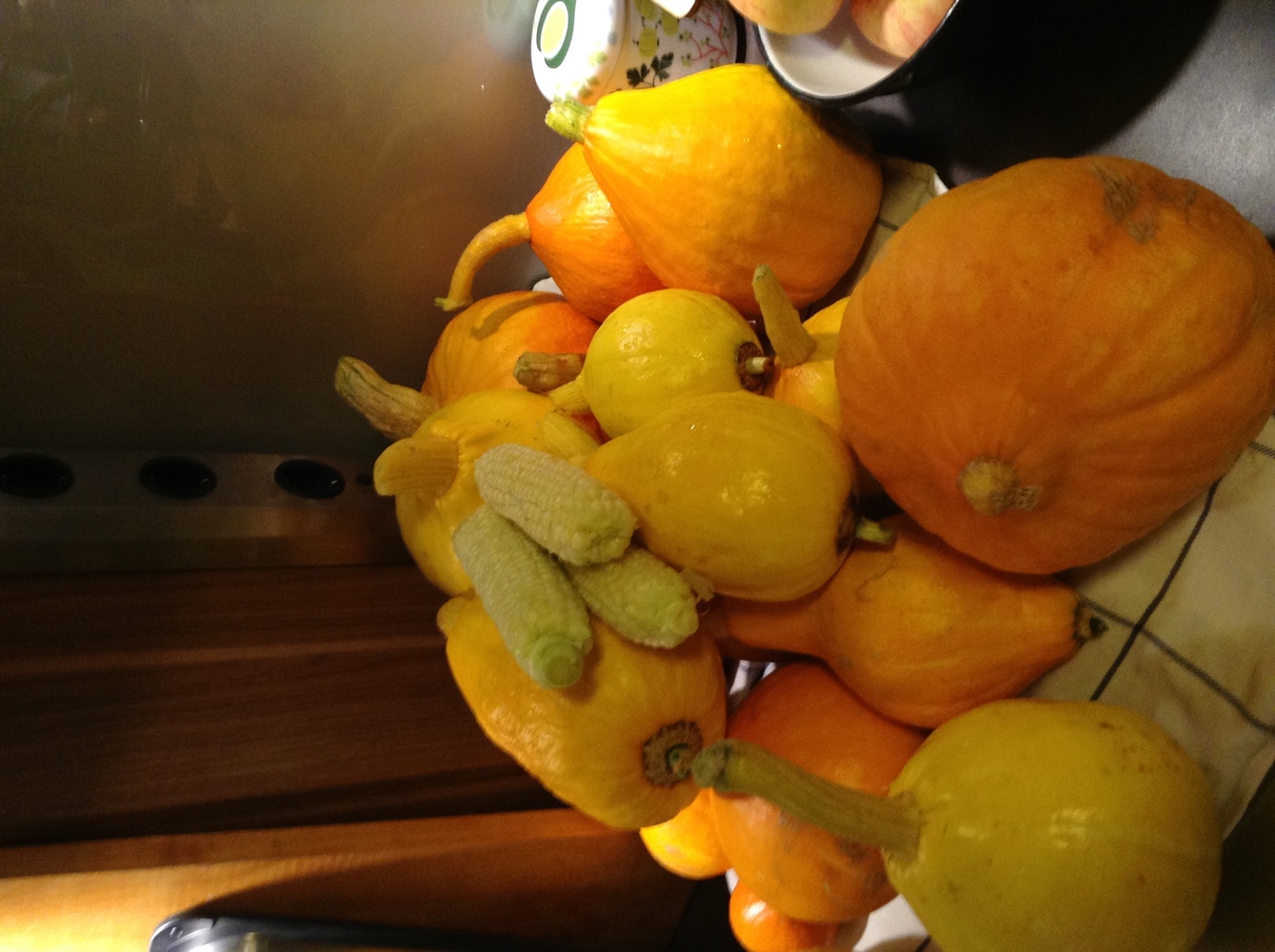 Antinniityn yhteisöpuutarhan kehittäminen/tukeminen ja uusien yhteisöpuutarhojen perustaminen