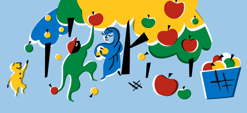 Kontulan Lampipuiston kesantoniitylle pölyttäjäkukkapuisto