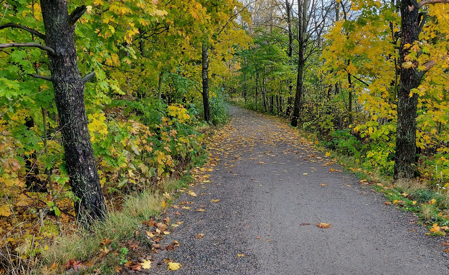 Mainio, kaunis ulkoilureitti ja työmatkaväylä