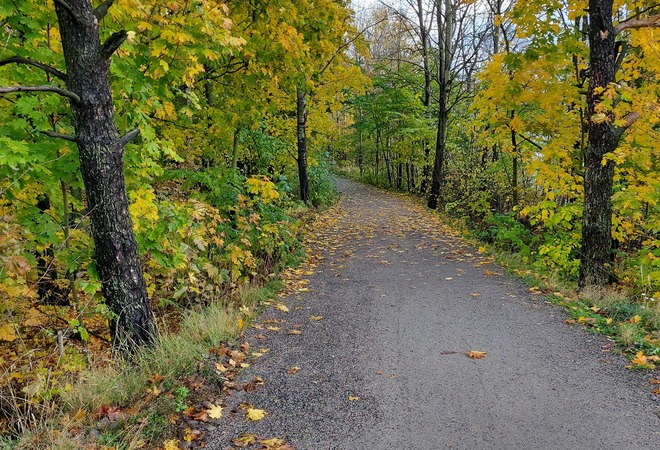 Pihlajiston polut kuntoon - Harjulanpolku