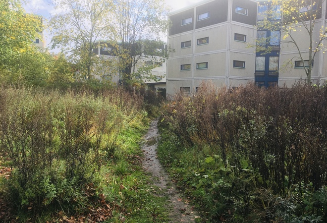 Piianpuiston viljelypalstat käyttöön