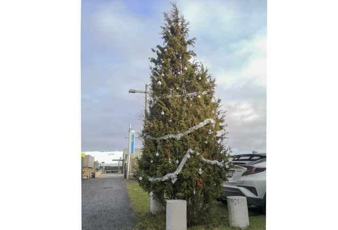 Kaupungiosan nimikkokatajaan jouluvalot