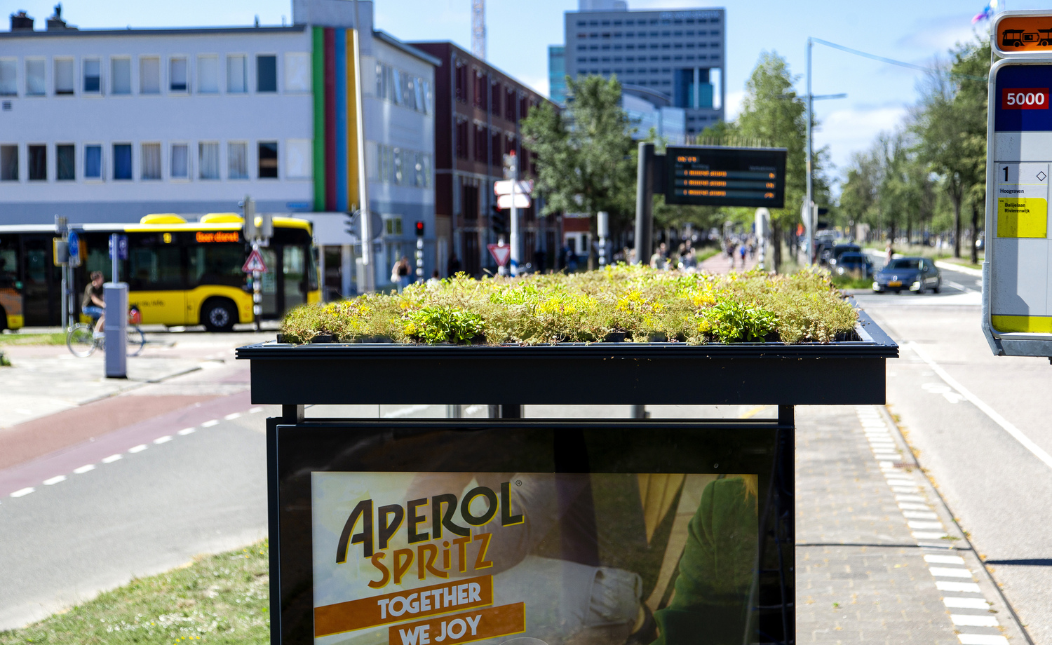 Green roof on a bus stop in Utrecht