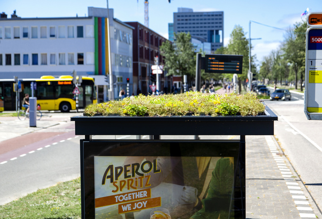 Green roofs for bus and tram stops