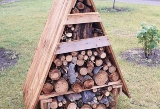 Isot hyönteishotellit Vuosaareen