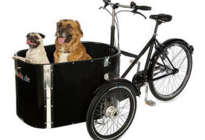 Laatikkopyörän vuokraus