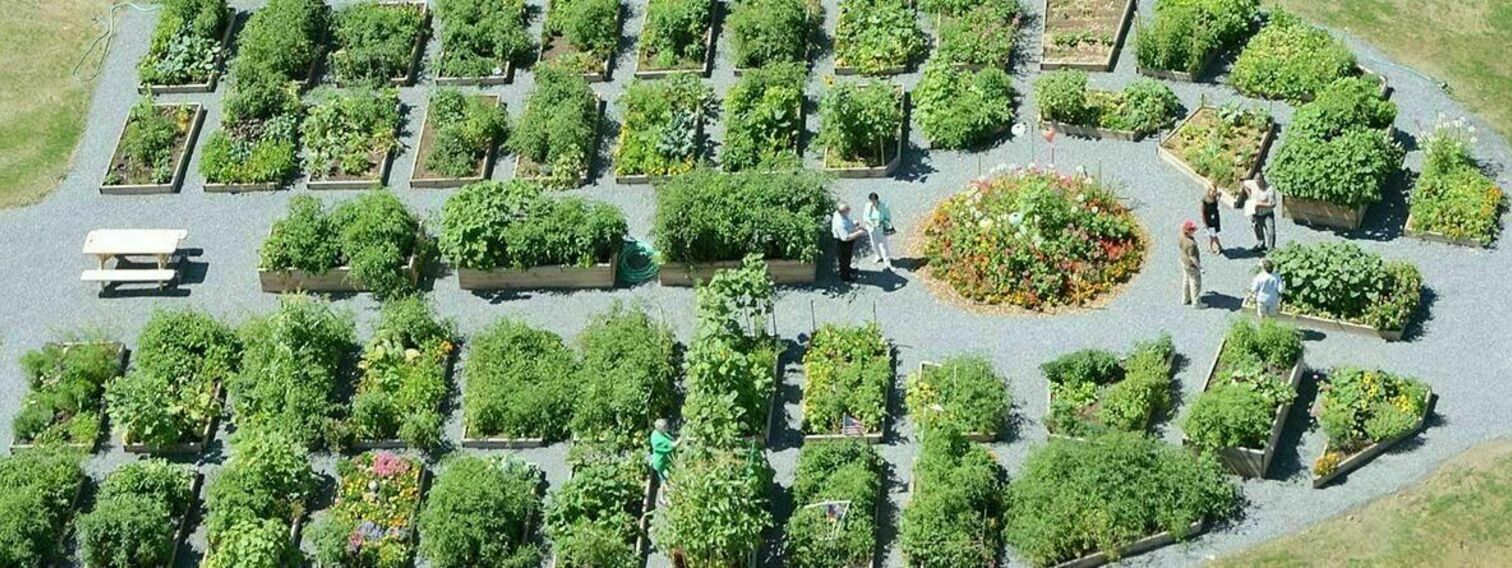 Community Eco-gardens (with vegetable boxes and benches)