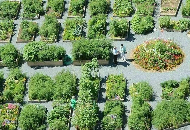 Samhälleliga eko-trädgårdar (med grönsakslådor och bänkar)