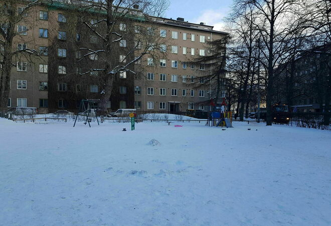 Linnankosken puiston (AXAn puisto) kunnostaminen