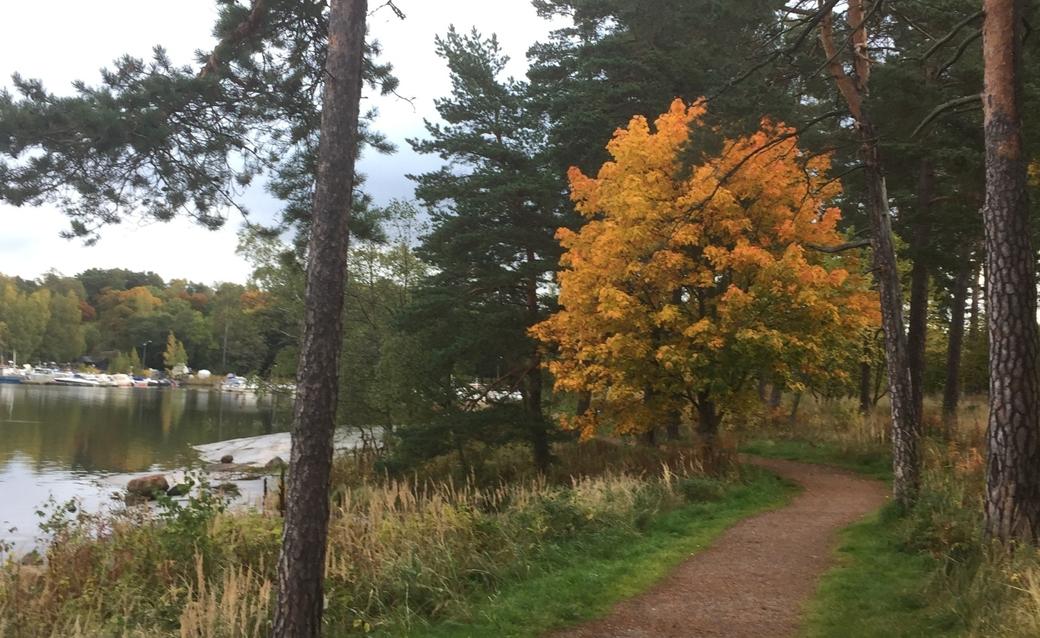 Kulosaaren rantapuistoa