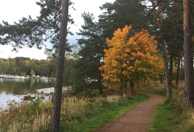 Valaistuksen jatkaminen koko Kulosaaren rantapuiston alueelle.