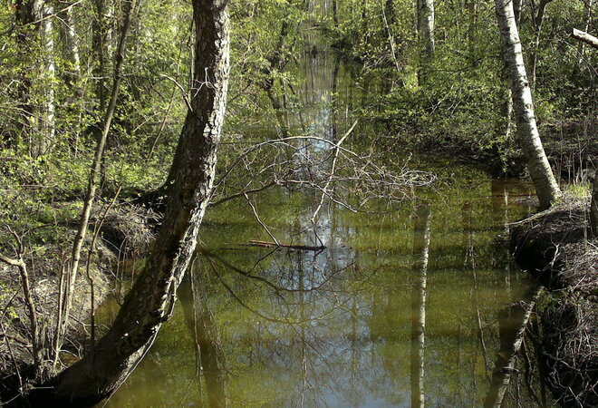 Plan image: Improvement of the Mätäjoki flying squirrel connection, especially at Kartanonkaari