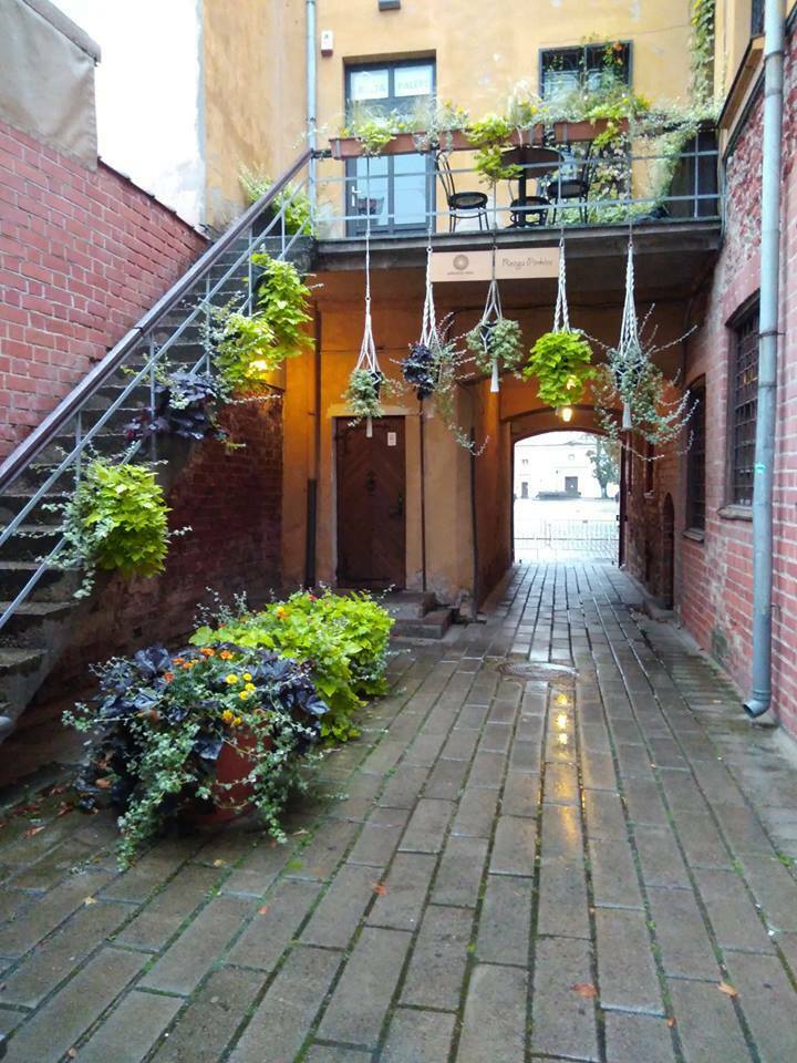 Monipuolinen aluesosionomi Jakomäkeen