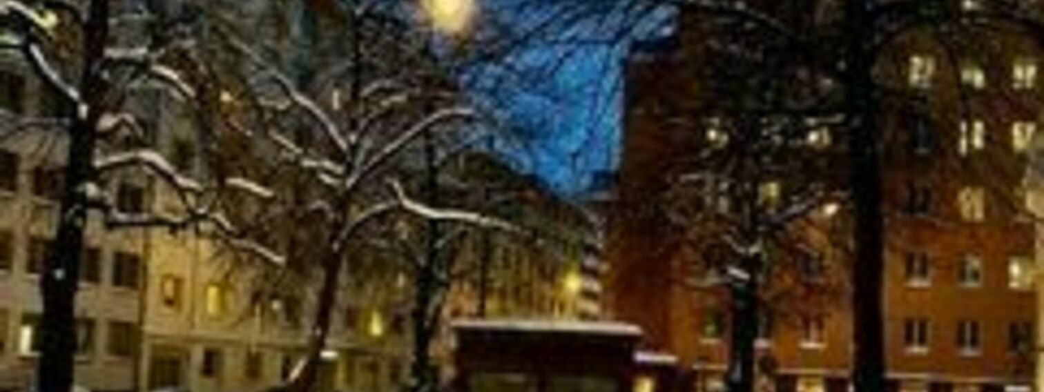 Pääskynen – urbaani korttelikeidas 365°