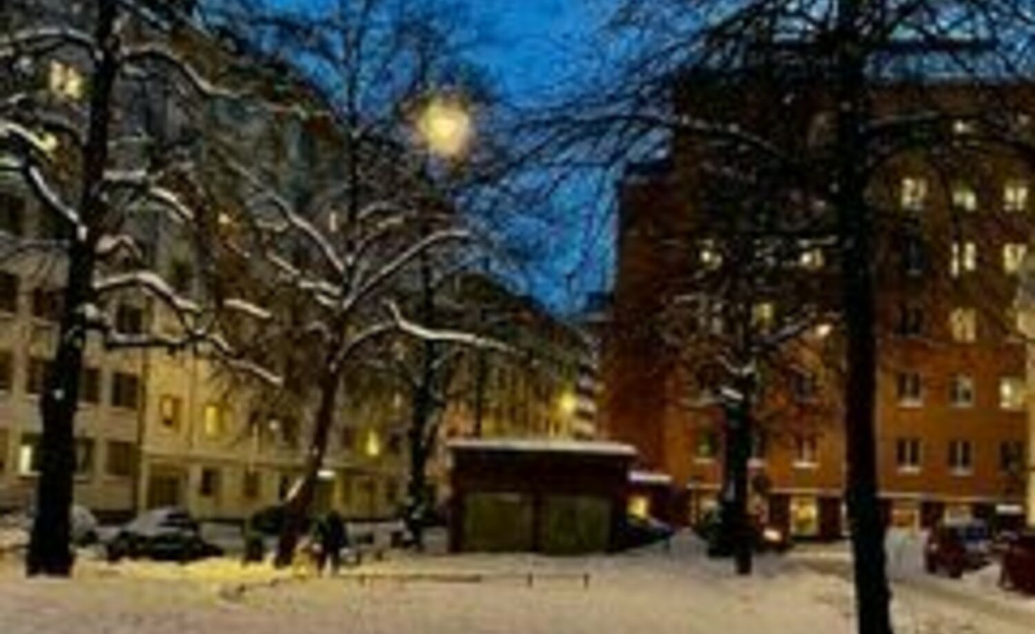 Pääskynen – urban neighbourhood oasis 365°