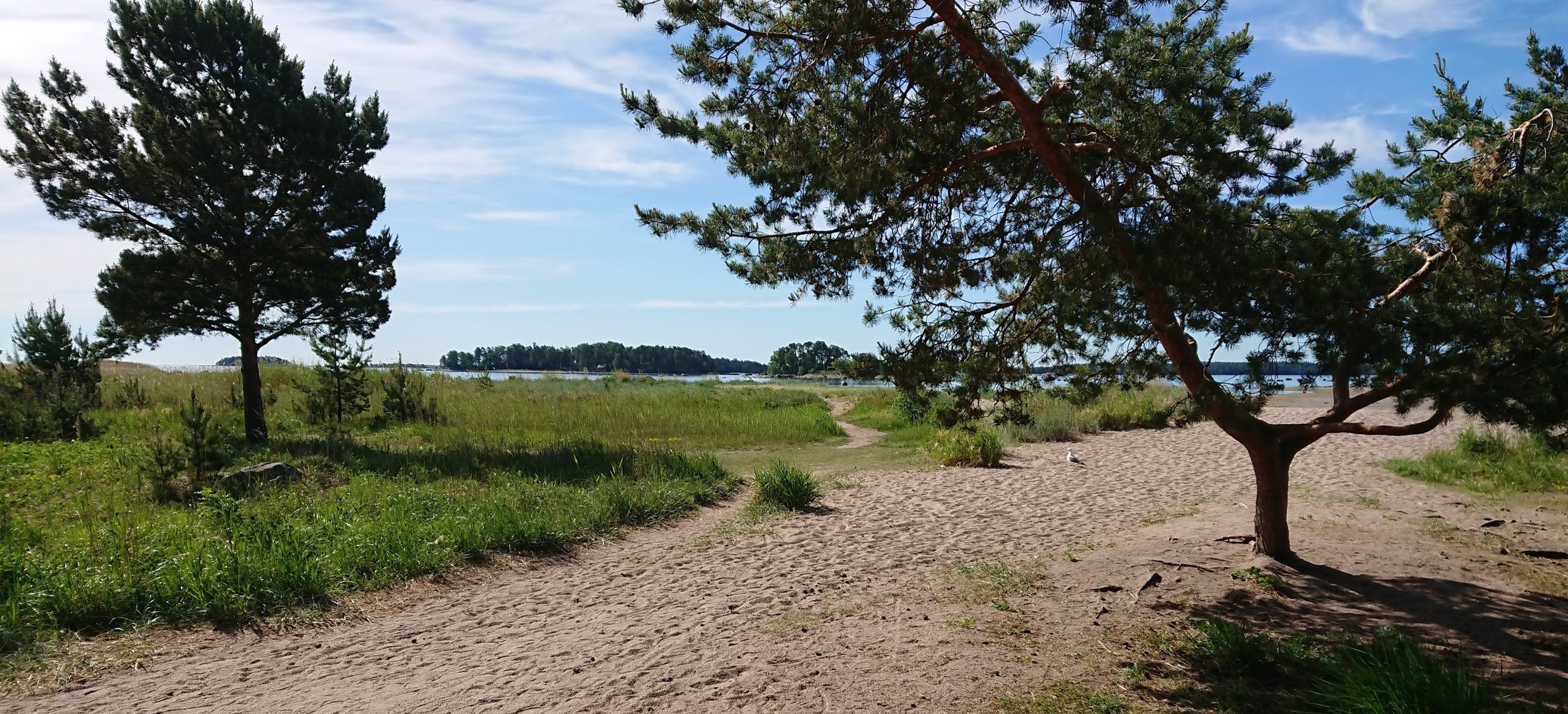 Kallahdenniemen Kuningattaressa sijaitseva Villa Kuhlefehlt kaupunkilaisten aktiiviseen käyttöön