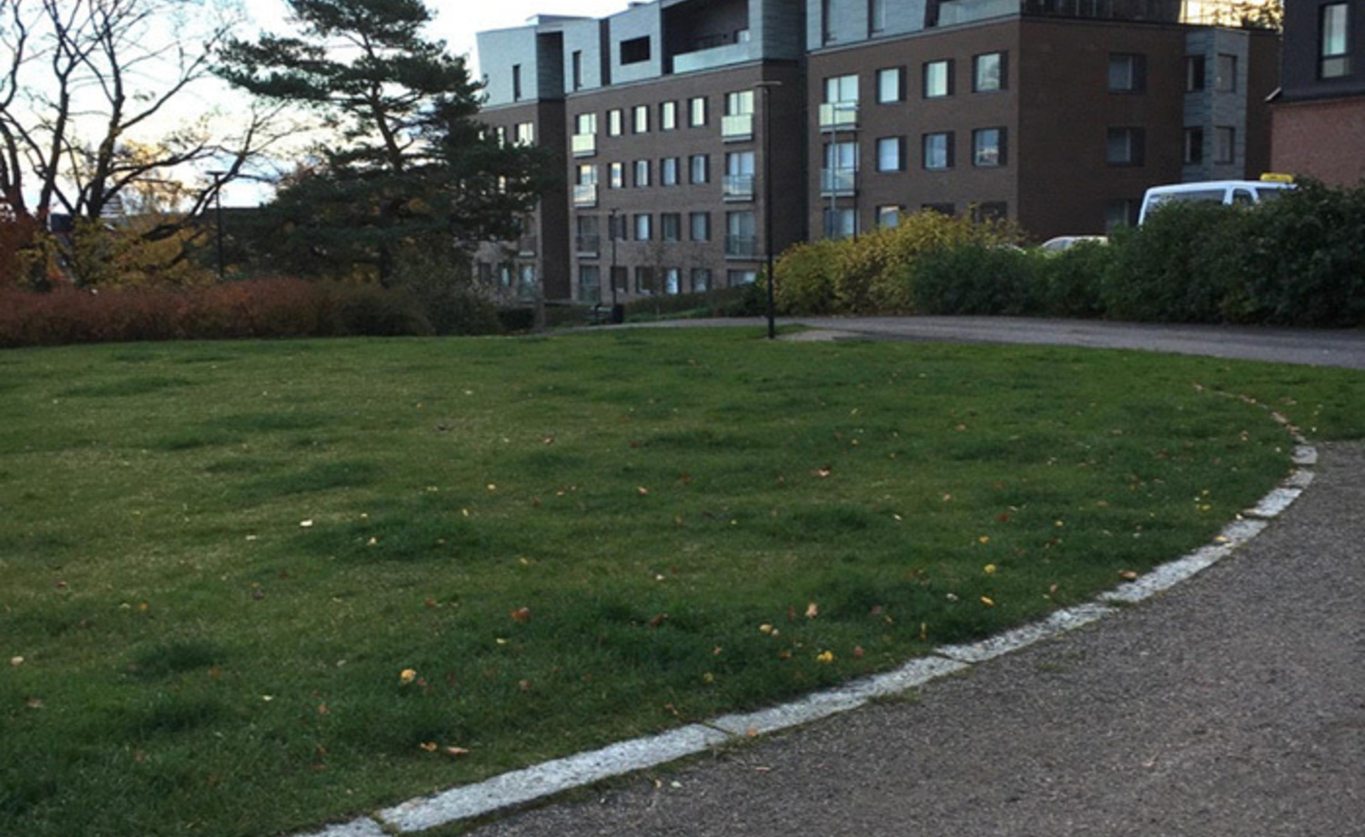 Hermanninpuiston yläosa eli pelikentän paikka