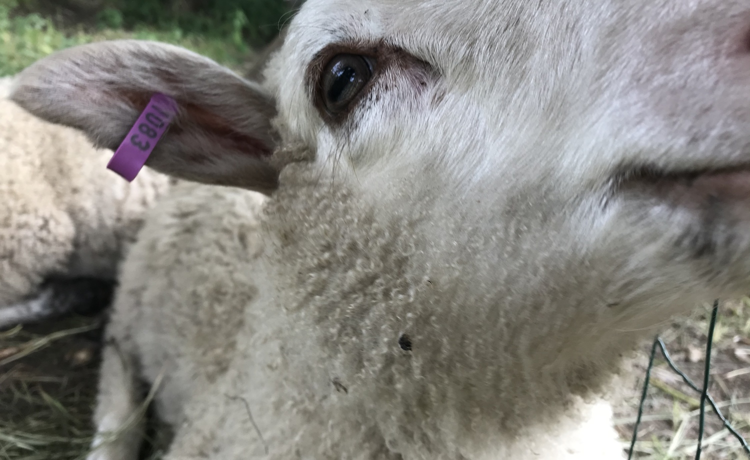 Kaupungille töihin! Mää