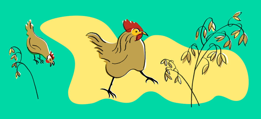 Kukoistusta ja toimintaa Alppipuistoon