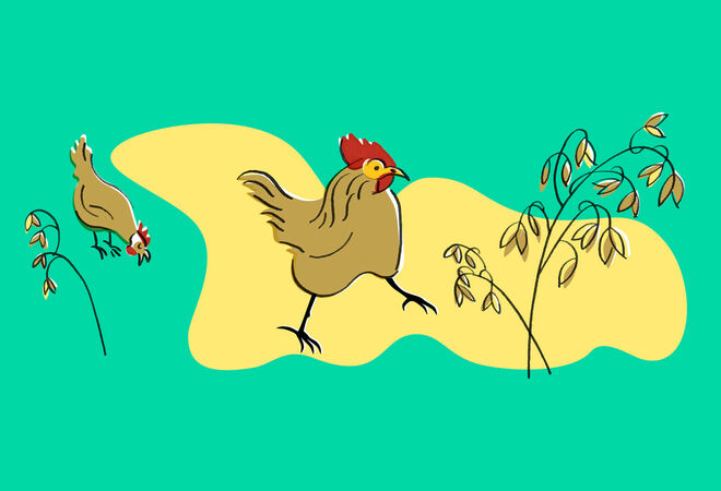 Valoa Hyväntoivon puistoon