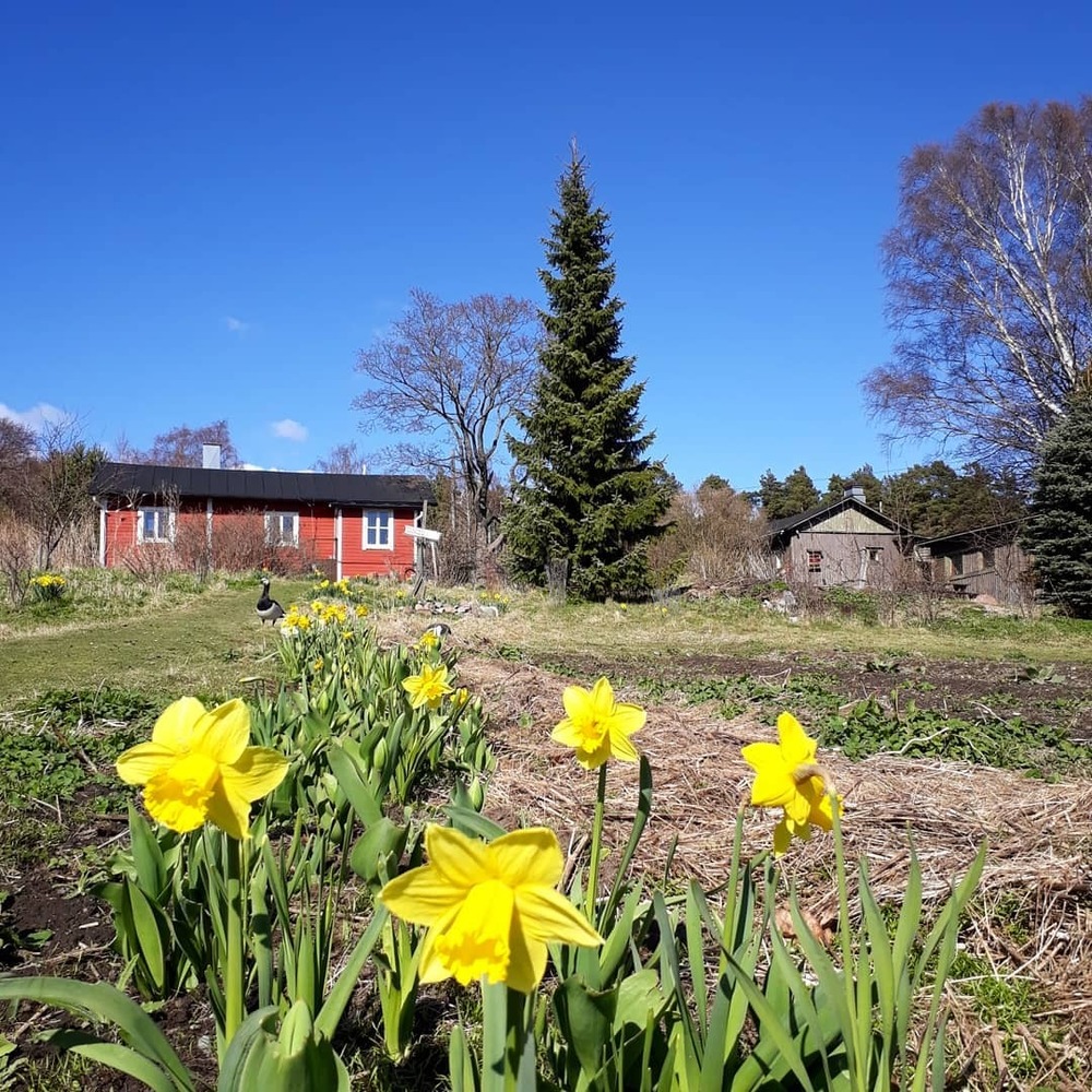 Syötävän Puiston viljelytoiminnan kehittäminen