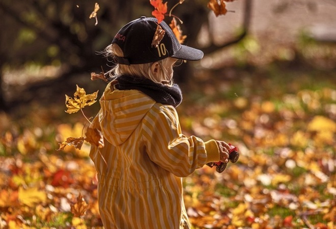 Elämysleikkipuisto aikuisten ja lasten leikkeihin 