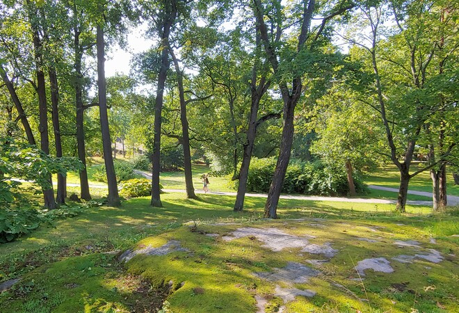 Plan image: Renovation of the rocky park areas