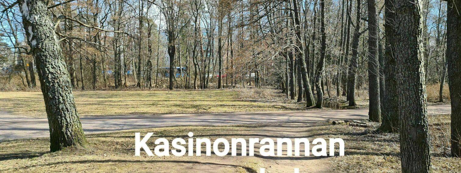 Barbecue spot and canopy for meals in Lauttasaari