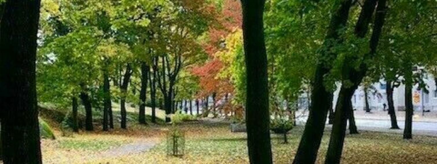 Allotrian puiston valaistus - Alue ilona aamusta iltaan 