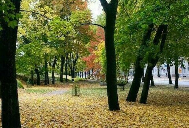 Allotrian puiston valaistus - Alue ilona aamusta iltaan 