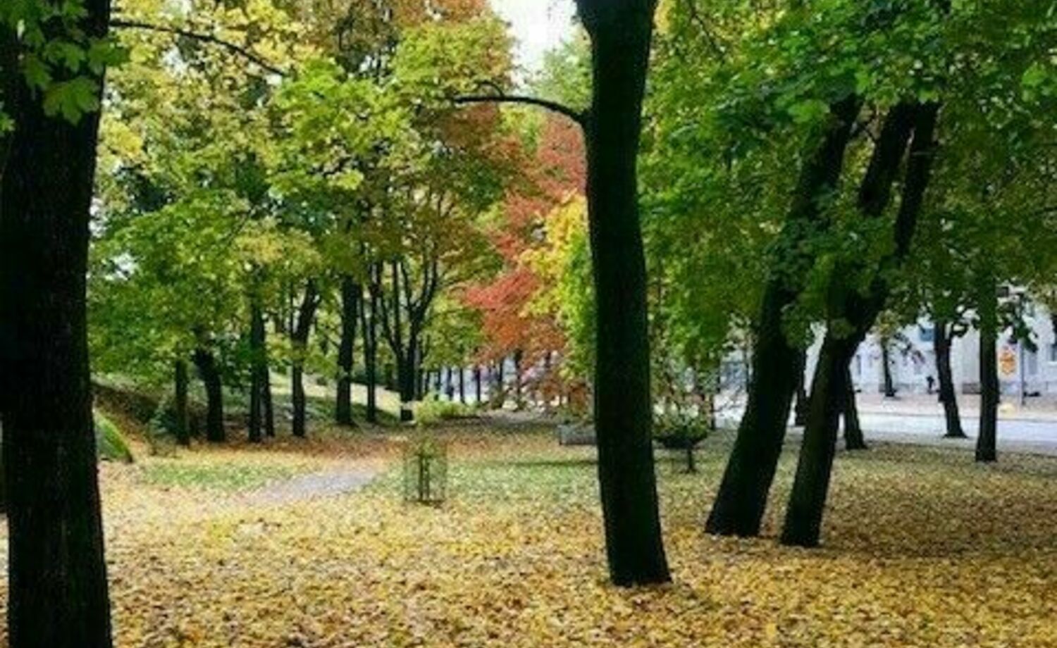 Allotrian puiston valaistus - Alue ilona aamusta iltaan 